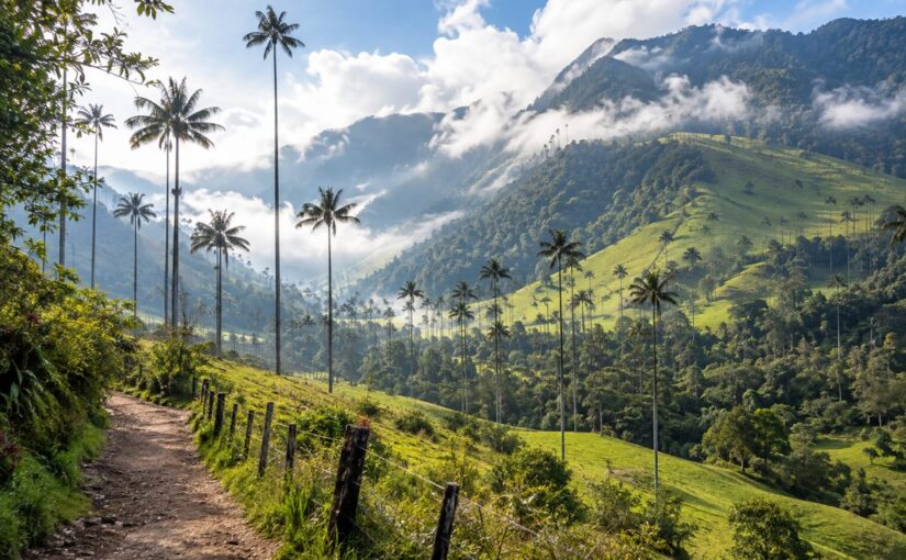 Qué hacer en Salento: Calle Real, café y Valle del Cocora